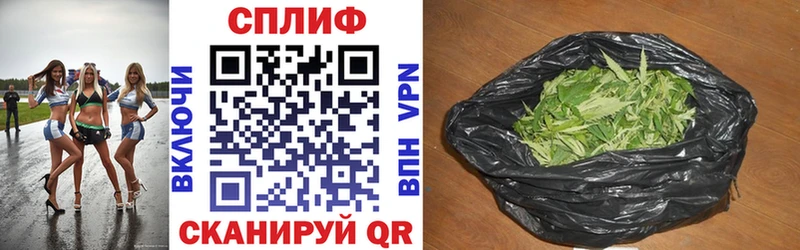 Каннабис конопля  где купить   Ростов 